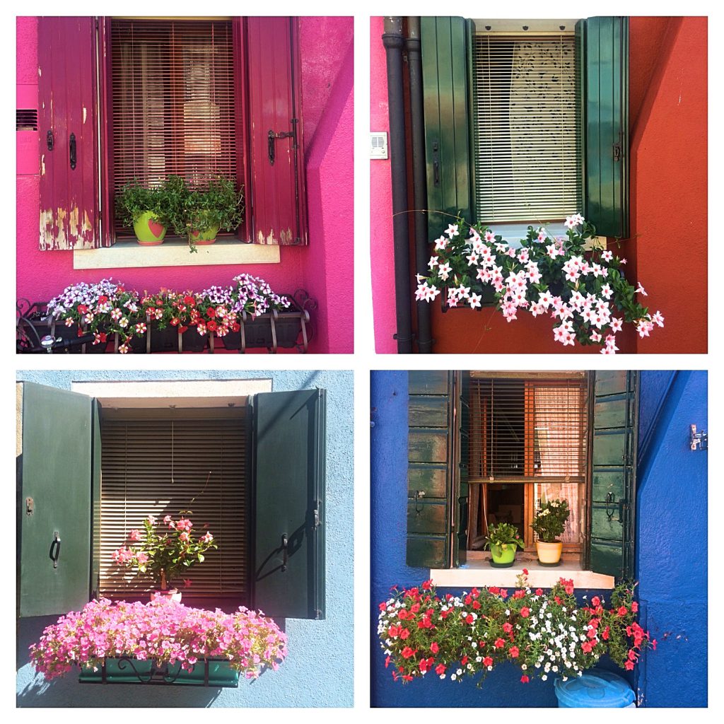 Blomster, farver og liv på Burano